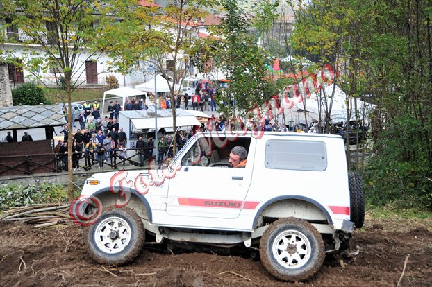 DSC_3797.jpg